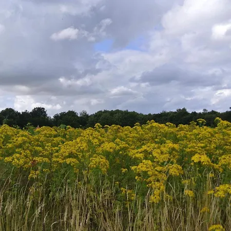6 Person In Feriehus