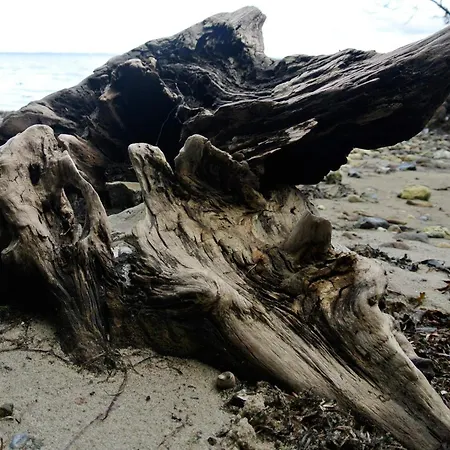 6 Person In Feriehus *