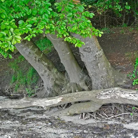 6 Person In Feriehus Hejls